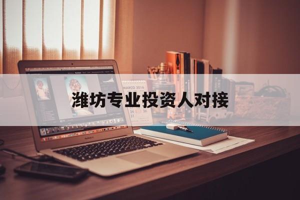 宜昌市潍坊专业投资人对接(潍坊专业投资人对接中心)