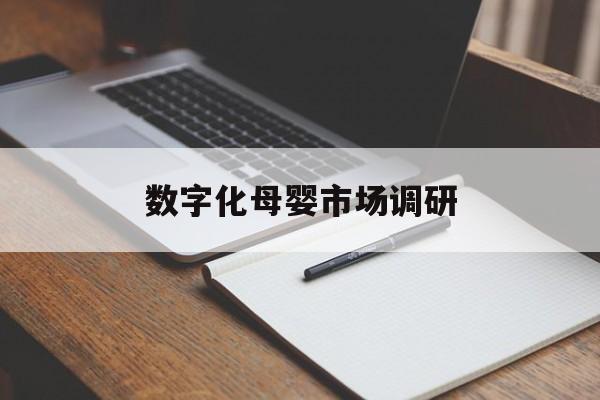 宜昌市数字化母婴市场调研(数字化母婴市场调研报告)